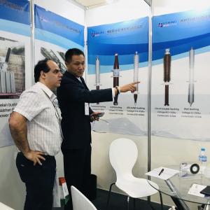 International Electricity Exhibition in Sao Paulo, Brazil