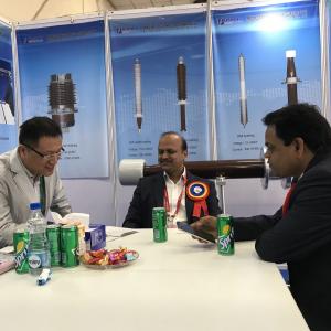 International Electricity Exhibition in New Delhi, India International Electricity Exhibition in New Delhi, India