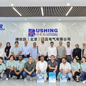 Arab Delegation of Energy Experts Visits Bushing (Beijing) HV Electric to Foster Collaboration, Arab Delegation of Energy Experts Visits Bushing (Beijing) HV Electric to Foster Collaboration,
